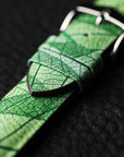 Leaf/リーフ グリーン